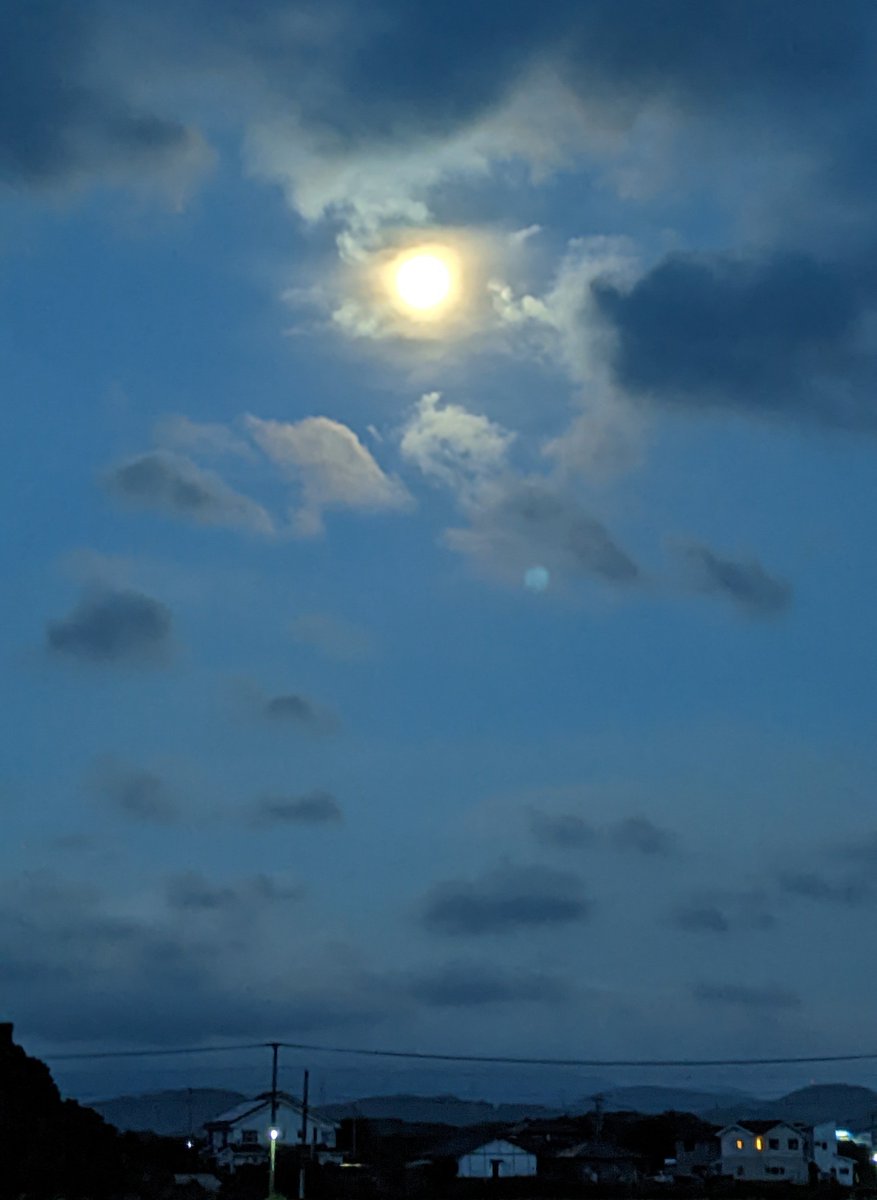 drunk2007's tweet photo. おはようございます
気温27℃　湿度85%
涼やかな風が吹く早朝

佳き一日になりますように

今日もよろしくお願いします🍀 https://t.co/B5sadoBKPG