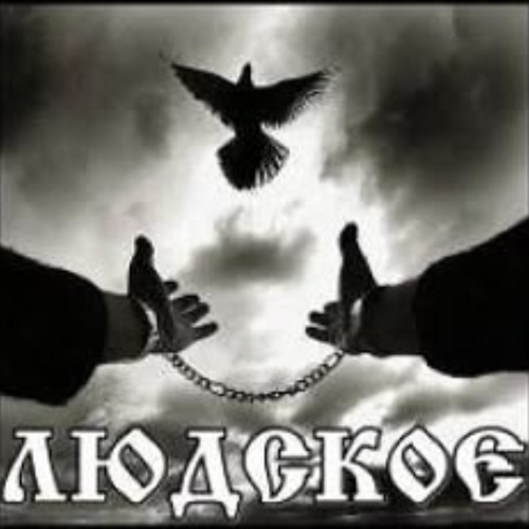 chinchinwunder's tweet photo. @ghost_vana46 Босяцкий ход, понимаемо. За такие деньги можно брать наждачку, краски и перепиливать как GK https://t.co/E4GxmXKGk2