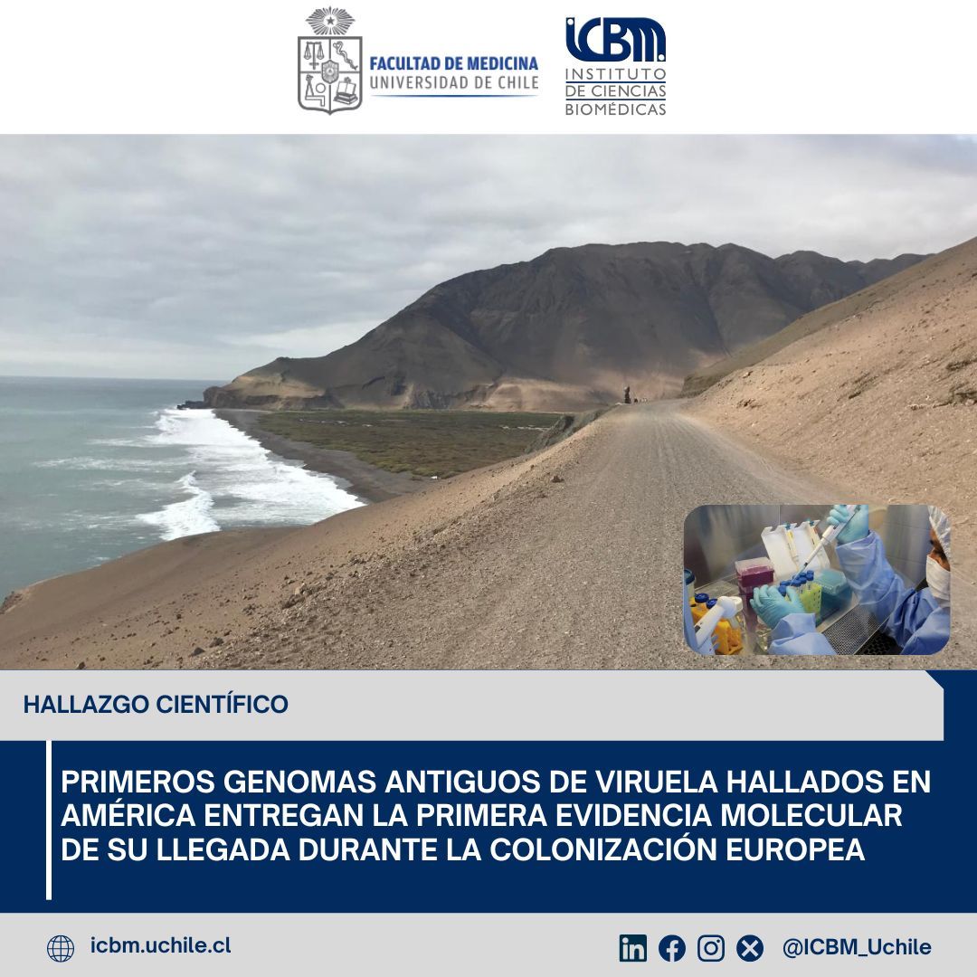 ICBM_UChile's tweet photo. 🧬 La Dra. Constanza de la Fuente, investigadora del ICBM y coautora de un estudio publicado en Science, participó en la recuperación de los primeros genomas antiguos de viruela hallados en América. 
Más información: https://t.co/Pxcjrq328j https://t.co/hTVO7wR4KP