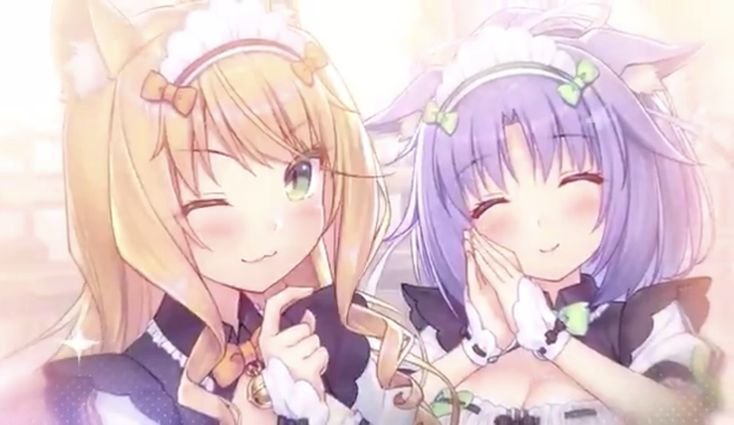 angels_sweetiez's tweet photo. GUYS I HAVE NO DNIS PLS MOOT ME 😿😿 please 😿😿😿👀👀 yoohoo yk u wannaaaaa yoohooooooooo

#moothunt #nekopara #dntwt #bemyfriendplease #😿😿 https://t.co/RrU9pAPUJc