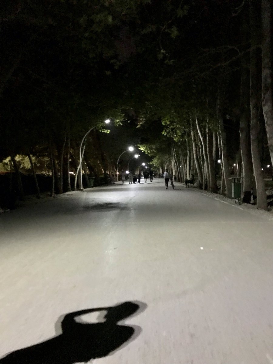 Esn_me's tweet photo. امشب شب بی فروغی بود
 همه ازم جلو زدن 
امشب خودم نبودم  حتی سایه ام جلوتر داشت می رفت  امشب تنهایی رو با گوشت و پوست و استخونم لمس کردم https://t.co/f2QTx5ilQY