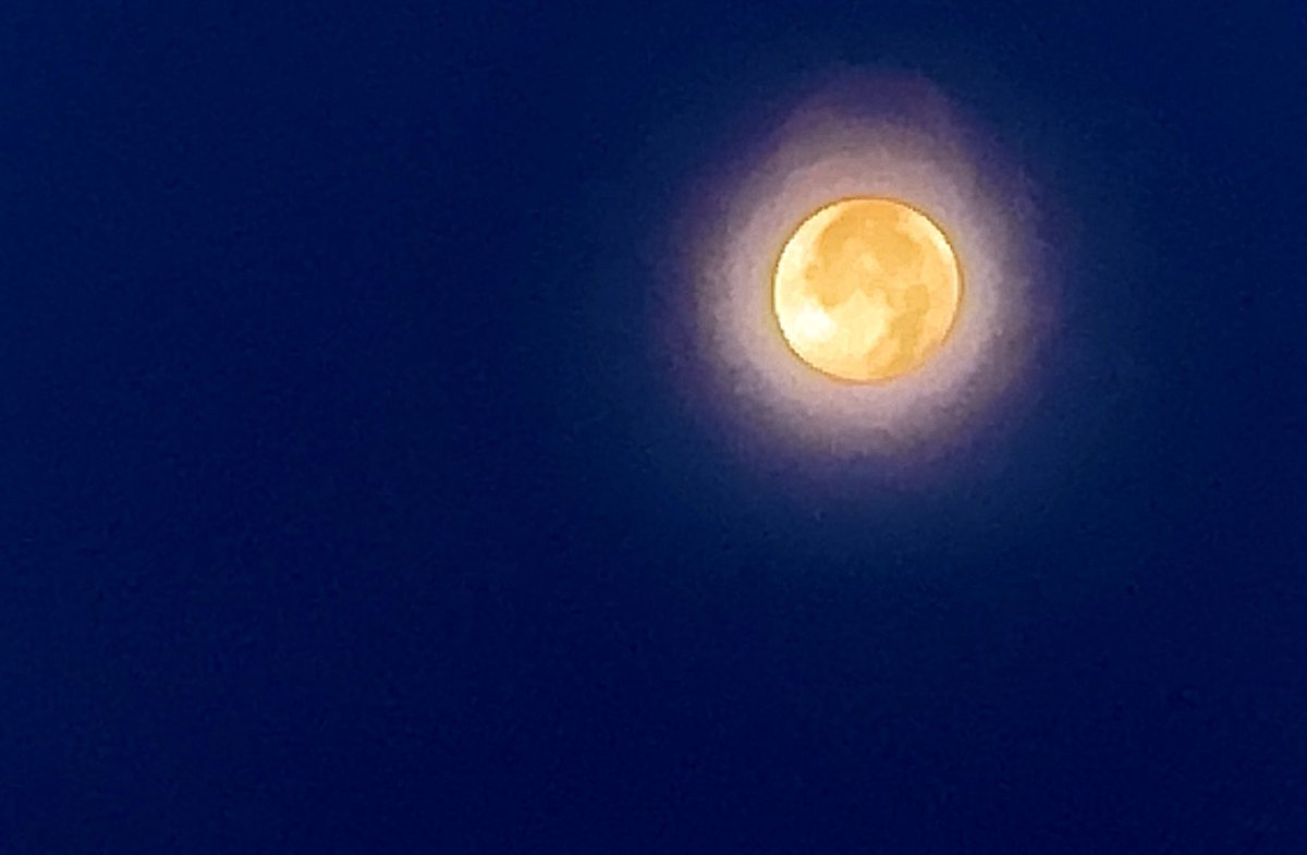 Chosan_Pad's tweet photo. おはよぉ～( * ॑꒳ ॑*)ﾉ⸝⋆✧🌕

満月綺麗だったから共有✨🌕✨ https://t.co/ODkgeeCqTM
