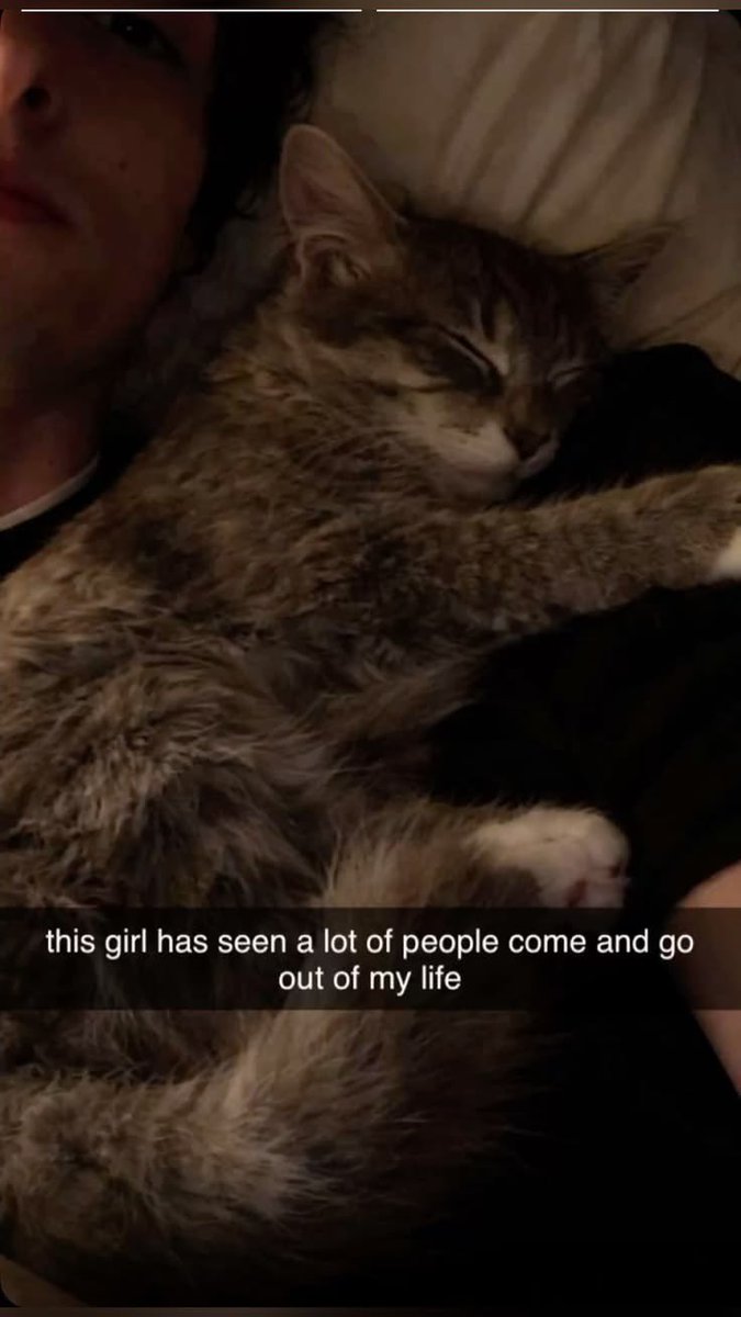 inclusivemonkey's tweet photo. Finn nd Poppy omggggggg https://t.co/HhHvqAQXxr