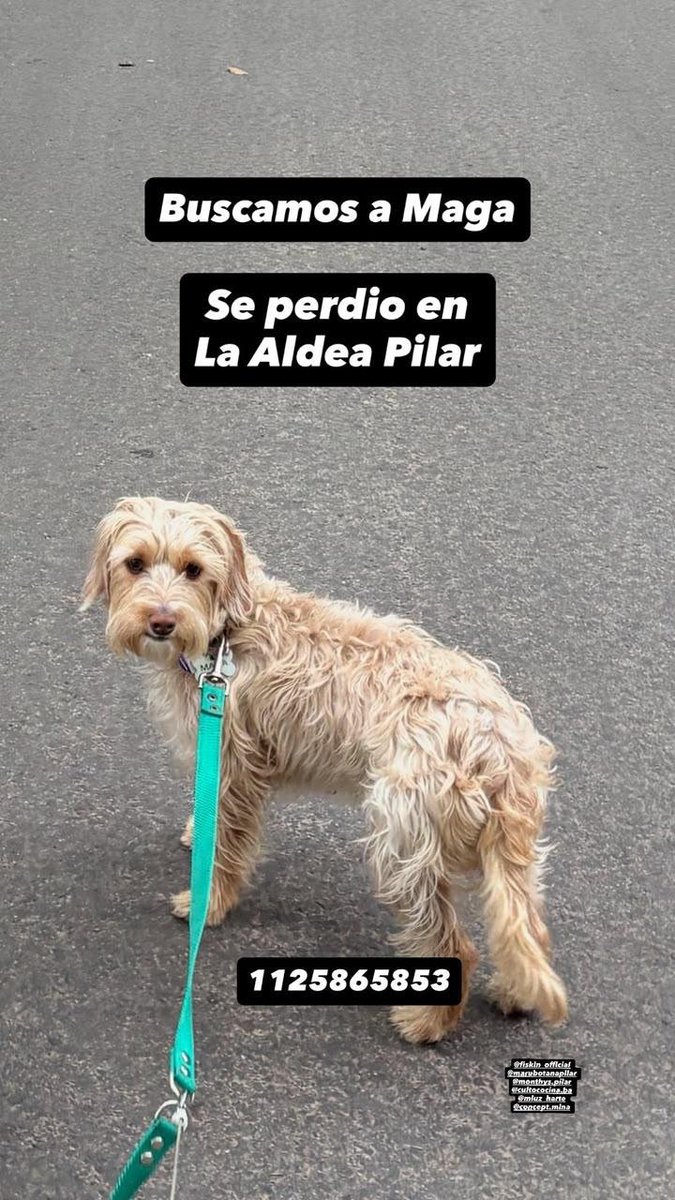 patripeyrou's tweet photo. Rt
Recompensa https://t.co/iLiTTU4Ao7