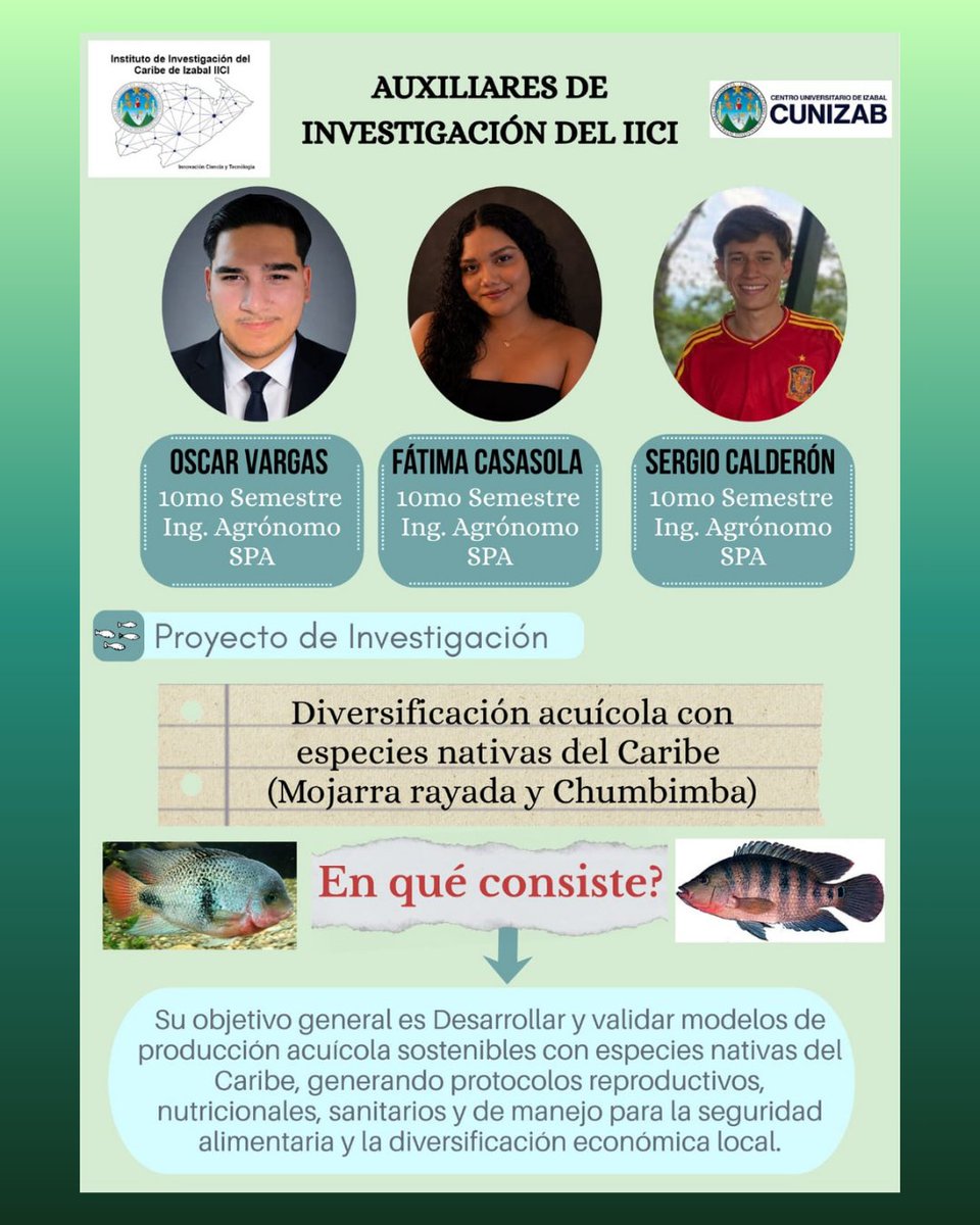 Cunizab2's tweet photo. CUNIZAB comparte el actual proyecto de investigación que los estudiantes de Ingeniería en Agronomía, en Sistemas de Producción Agrícola; están ejecutando a través del Instituto de Investigaciones del Caribe de Izabal. 

"Id y enseñad a todos". https://t.co/z8O5z8vtlq