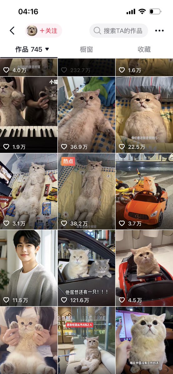 DavidRottoT's tweet photo. 半夜刷到这个抖音博主

大部分的内容都是他的猫躺着睡觉的状态，点赞特别高

我仔细翻了一下，几乎没有这只猫正常行走的状态

我敢说，他绝对对这只猫进行了改造

不是打药了，就是故意使这只猫处于半残状态  缺德的一逼

然后可能也担心别人怀疑。故意晒出猫咪

在外面趴着不动的状态，还说自己的猫是社恐

竟然有这么多的关注

有没有大牛去打他的假，只要找专业医院

鉴定一下就知道了