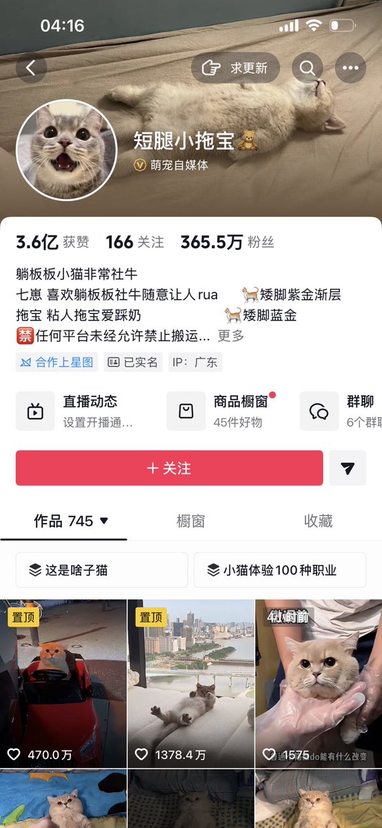 DavidRottoT's tweet photo. 半夜刷到这个抖音博主

大部分的内容都是他的猫躺着睡觉的状态，点赞特别高

我仔细翻了一下，几乎没有这只猫正常行走的状态

我敢说，他绝对对这只猫进行了改造

不是打药了，就是故意使这只猫处于半残状态  缺德的一逼

然后可能也担心别人怀疑。故意晒出猫咪

在外面趴着不动的状态，还说自己的猫是社恐

竟然有这么多的关注

有没有大牛去打他的假，只要找专业医院

鉴定一下就知道了