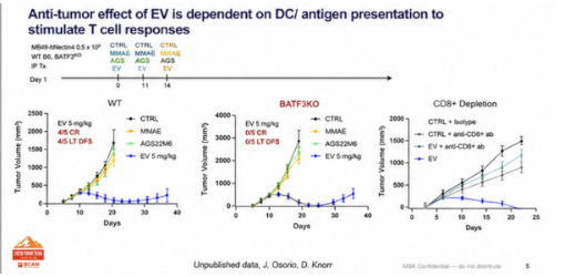 urotoday's tweet photo. Identifying biomarkers of response and mechanisms of resistance to enfortumab vedotin with and without pembrolizumab in metastatic #UrothelialCancer. Presentation by Aditi Gupta, MD @MSKCancerCenter. #BCANTT26 written coverage by @chavarriagaj @PSH_Urology. #ReadNow > https://t.co/8Y7bsdF78n @BladderCancerUS
