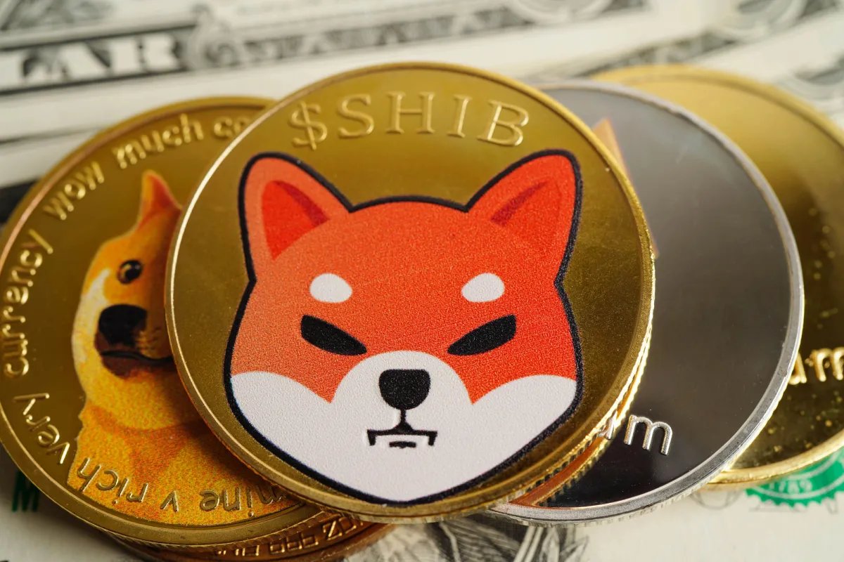 SHIBMortal's tweet photo. Round 2 for Shiba Inu Coin? Korea's Crypto Exchange Suddenly Re-Organizes 864 Billion Shiba 

🇰🇷 Upbit just shuffled 864 BILLION $SHIB (\~$4M) between wallets right after the 36% pump.

Routine liquidity move… or Round 2 loading?

Korea still owns SHIB volume. Eyes open. 👀

Source: https://t.co/nZLibFdsw0