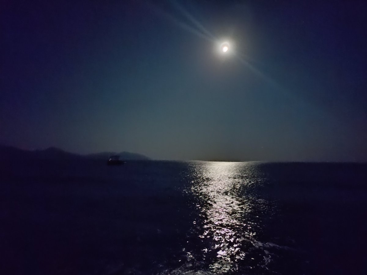 MitolojikN's tweet photo. Şimdiye kadar duyduğu hiçbir ses bu kadar etkili olmamıştır. Gün geçtikçe Çoban Endymion’un uyumadan önce çaldığı nağmeler, Selene için vazgeçilmez olur. Selene bir gece usulca yaklaşır mağarada uyuyan çobanın yanına. Tanrıça hiç bu kadar güzel bir ölümlü görmemiştir+ https://t.co/Q7tw6FMOKI
