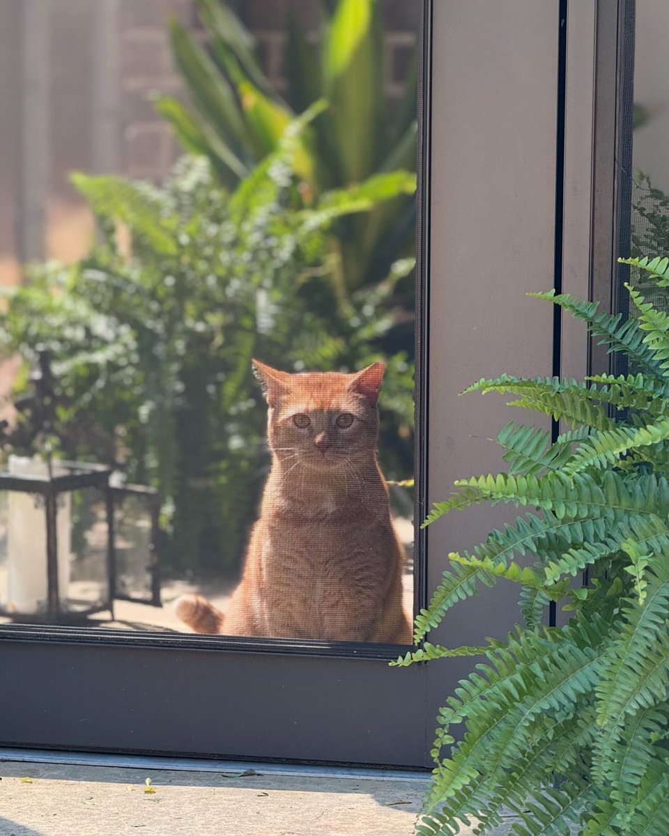 WHMeanor's tweet photo. It's trapped, lol🤣🤣 https://t.co/FXM20IplWw