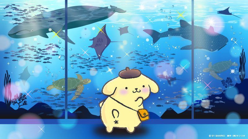 sanriodaily's tweet photo. pompom at the aquarium 💫 https://t.co/qCaw5halRN