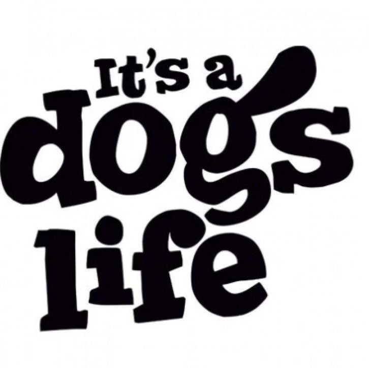 jamilu66's tweet photo. Hello K9 lovers 
#dogknot 
#zoophiletwt
#zootwt 
#jjk242spoilers
Hello K9 lovers
DM on telegram 👇👇👇👇
https://t.co/2tW4p9xuNq

Zangi me 

https://t.co/ymrxJWhssD… https://t.co/pkwySg6RdI