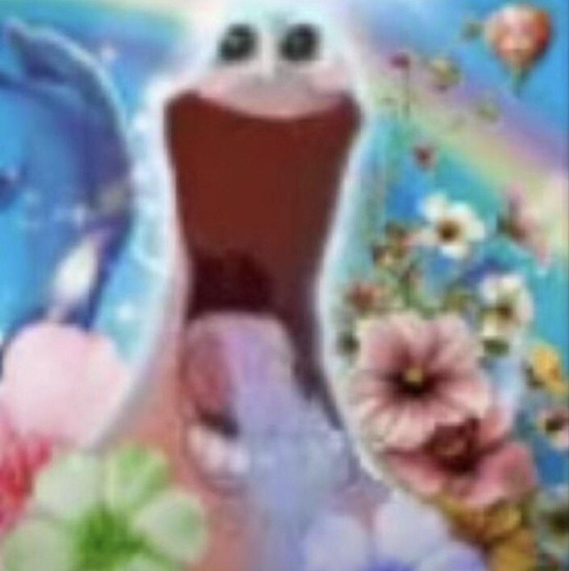 mrsbssr's tweet photo. spoil drag race france ep4

quand j'ai vu que c'était holly wh*te contre azemylia les deux raslard dans le bottom https://t.co/sGaieiUNyi