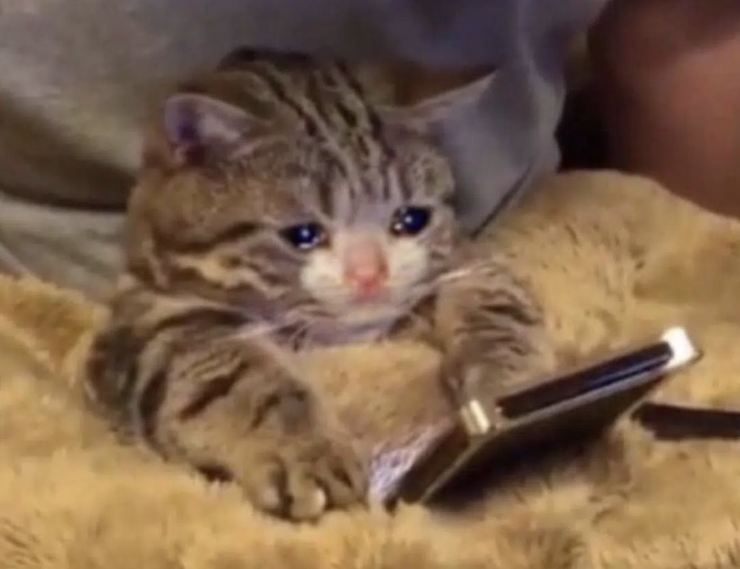 pothosmuse's tweet photo. Mi manca #TvTime .
È stato parte della mia routine per anni, adesso non mi trovo con nessuna delle applicazioni che mi sono state consigliate per la sostituzione 😭 https://t.co/e2cmfXIVYp