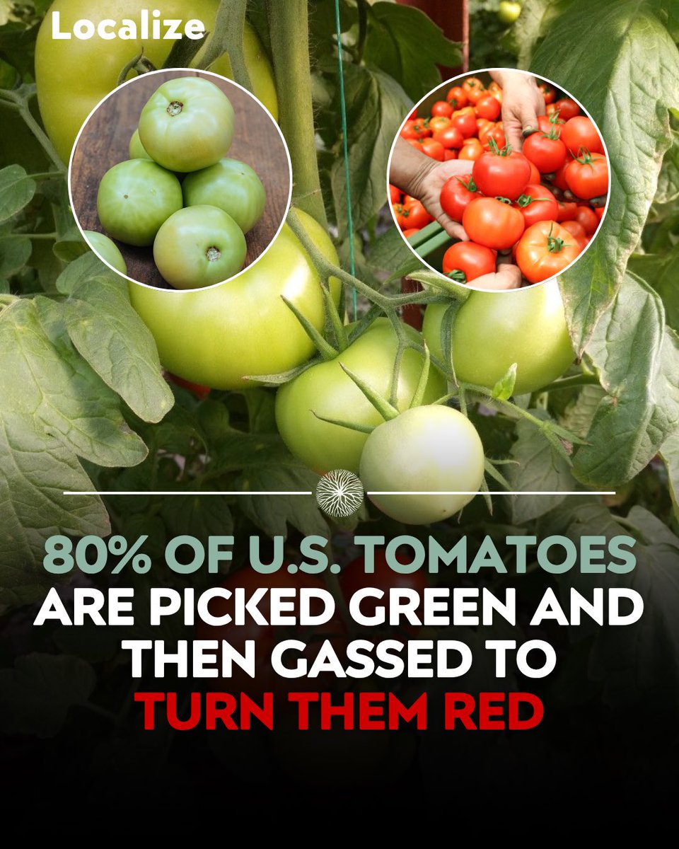Localize - Farmers Market tweet media