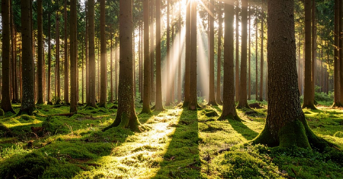 Trinseo's tweet photo. We recently released our FY2025 #Sustainability Report, Shining Through Uncertainty. From reducing our greenhouse gas emissions to building our water stewardship plans, our latest report shows how we continue to progress against our Sustainability Goals.​
https://t.co/3771ltNrNb https://t.co/HB8fYVye5U