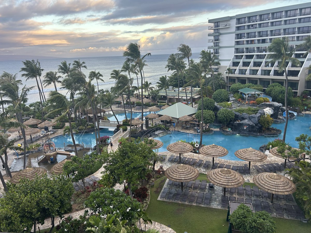 zdubsnj's tweet photo. When u stop chasing and learn how to manage your money and manage your emotions, you’ll be able to save and have money for things you want to do.   This for example #hawaii #Gambling𝕏 @BeerMoneyyPicks https://t.co/a4kieE0JeC