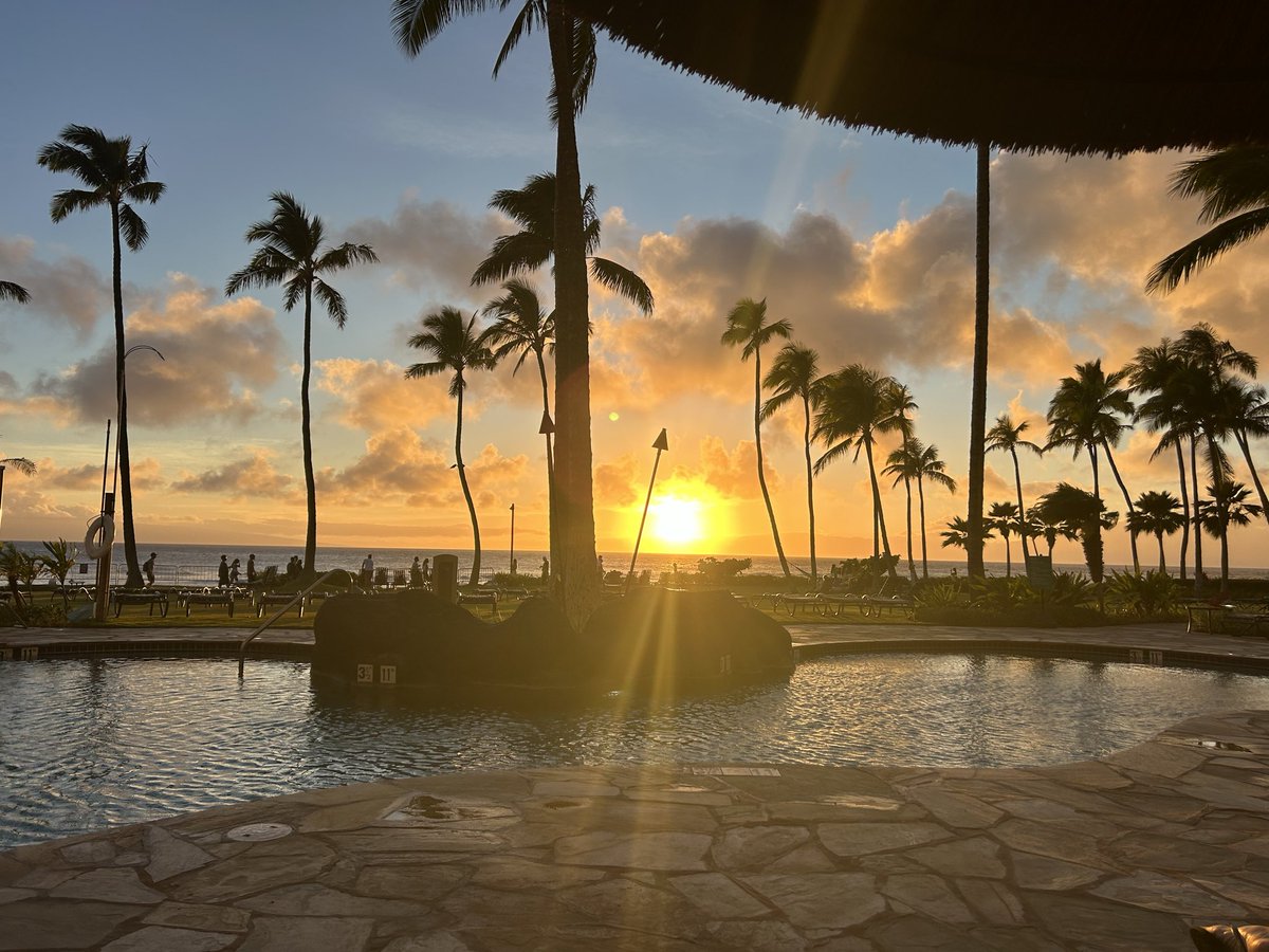 zdubsnj's tweet photo. When u stop chasing and learn how to manage your money and manage your emotions, you’ll be able to save and have money for things you want to do.   This for example #hawaii #Gambling𝕏 @BeerMoneyyPicks https://t.co/a4kieE0JeC