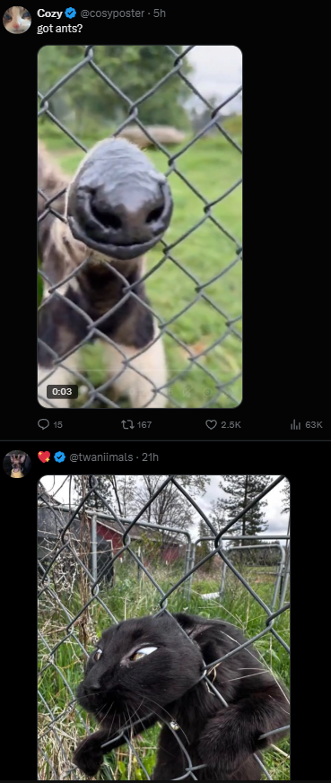 Not a Jon tweet media