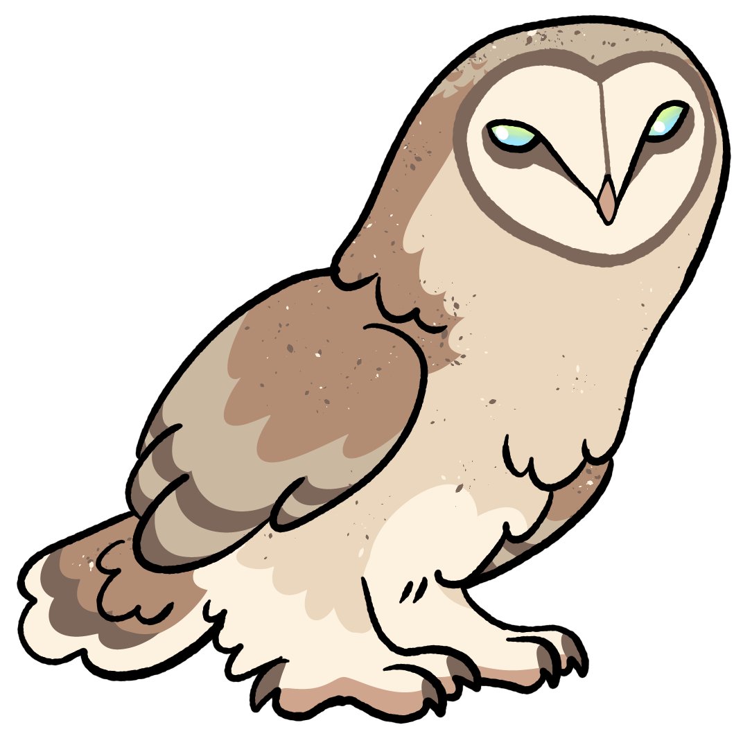 Panicpigeon's tweet photo. Little barn owl https://t.co/f5rnH2vfgS
