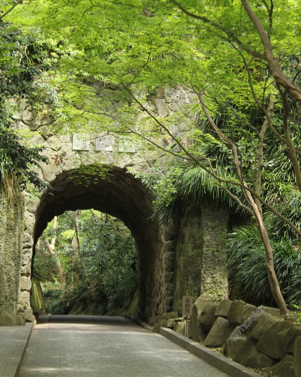 travolax's tweet photo. Kamakura, Japan is full of beauty. Just an hour south of Tokyo. https://t.co/qBM3WX5E7u