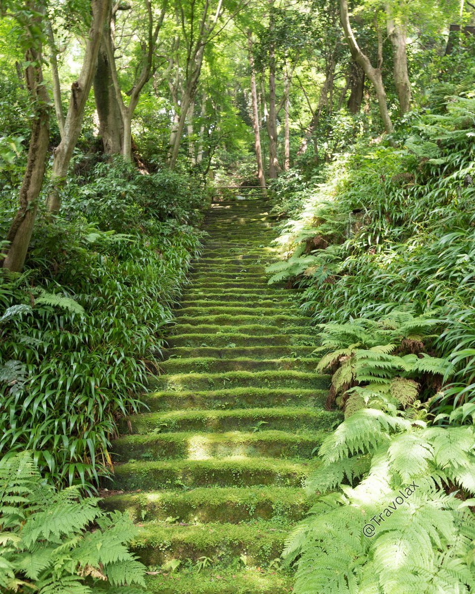 travolax's tweet photo. Kamakura, Japan is full of beauty. Just an hour south of Tokyo. https://t.co/qBM3WX5E7u