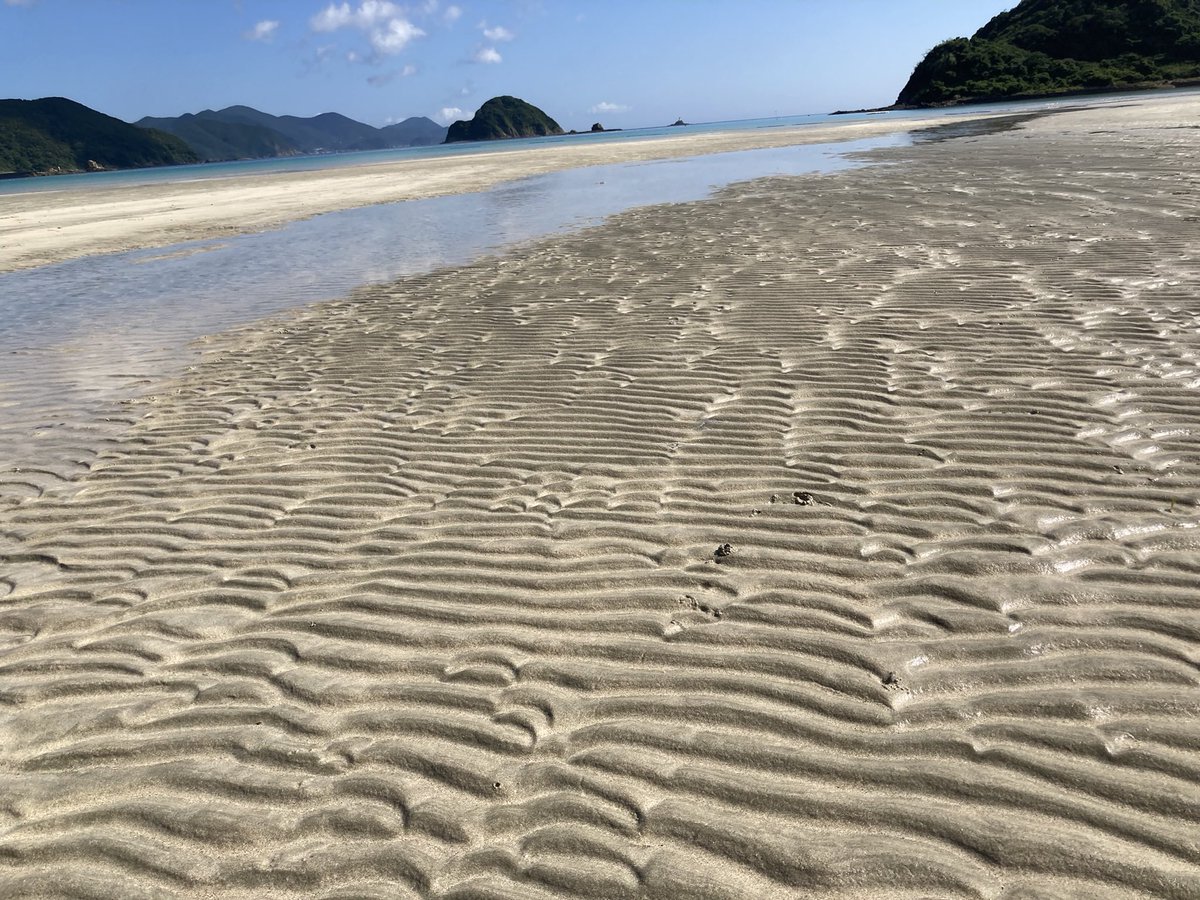 chi_koike61134's tweet photo. 令和 8年 7月 31日 金曜日
皆様、おはようございます
本日も宜しくお願い致します

:撮影場所は五島列島新上五島町内です
:差し支えなければ拡散RTお願い致します
:島のPRにご協力いただけると嬉しいです
:iPhone se（第三世代）で撮影しています
:毎日更新中
＃五島列島　＃上五島 https://t.co/kvUWVOd5sT