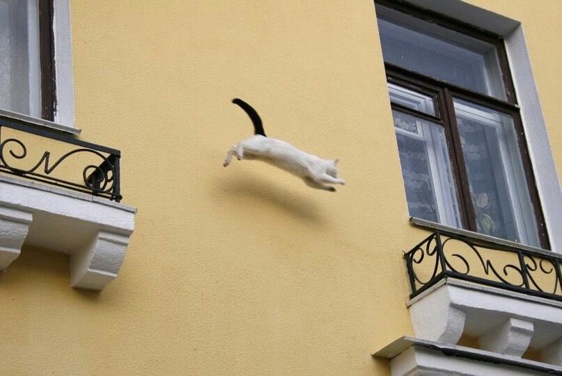 prtygal777's tweet photo. Ultimately I have to be brave https://t.co/CjZDs4fjlf