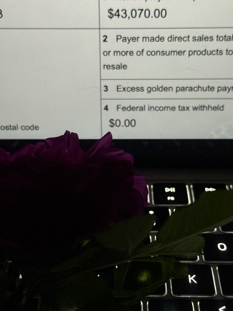 zzzzstiz's tweet photo. i was crying over how much money i owe and my mom brought me a peony from the garden to cheer me up https://t.co/bfQBnGTiiP