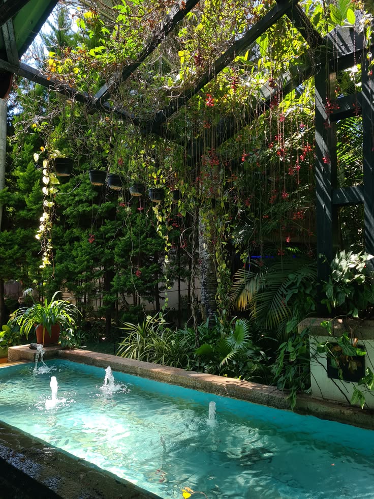 greenvibe's tweet photo. Shaded pool under hanging vines. https://t.co/mkRGMgFwUf