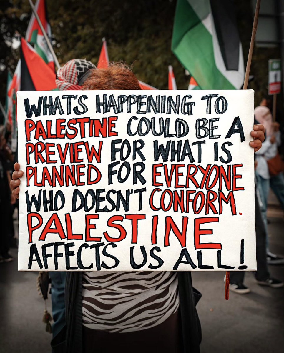 WearThePeaceCo's tweet photo. "What's happening to Palestine could be a preview for what is planned for everyone who doesn't conform. Palestine affects us all!" Free Palestine 🇵🇸 https://t.co/suRtDhOseX