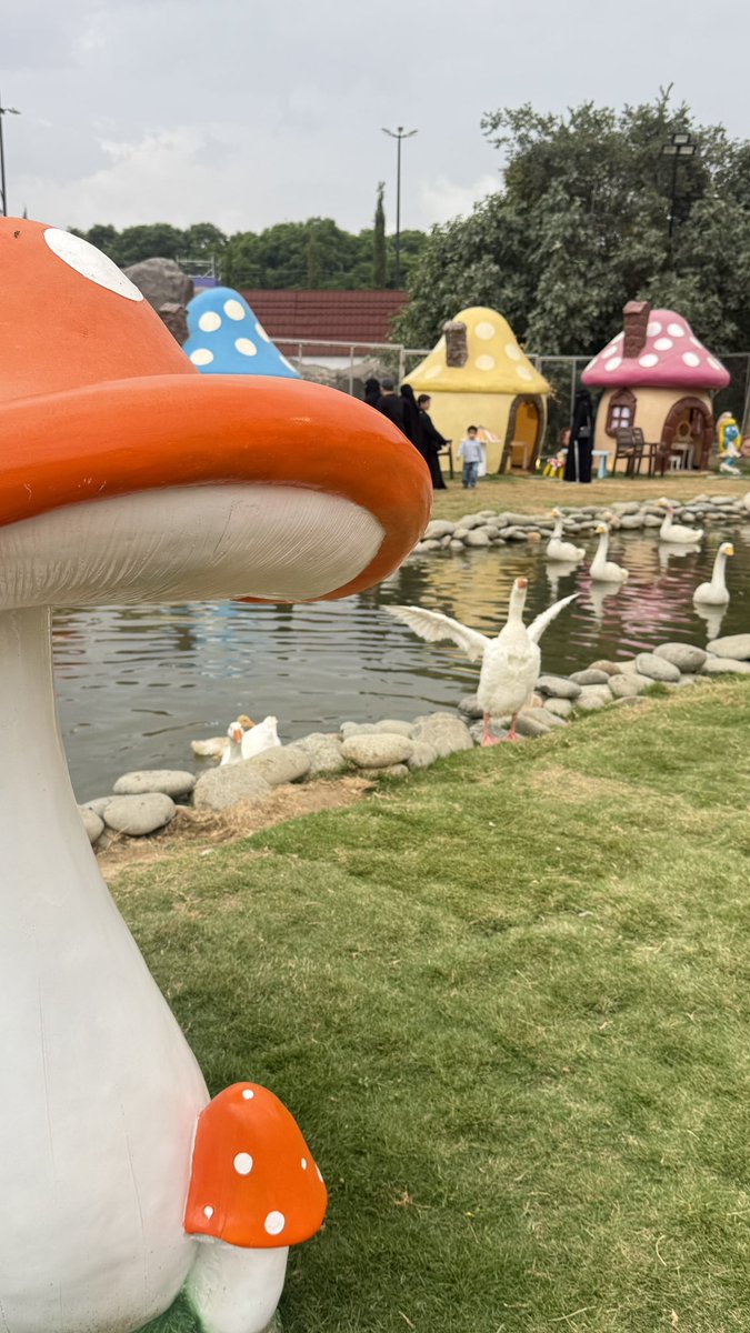 3shougnai's tweet photo. 💜🦢💜 https://t.co/9dryvVYGF7
