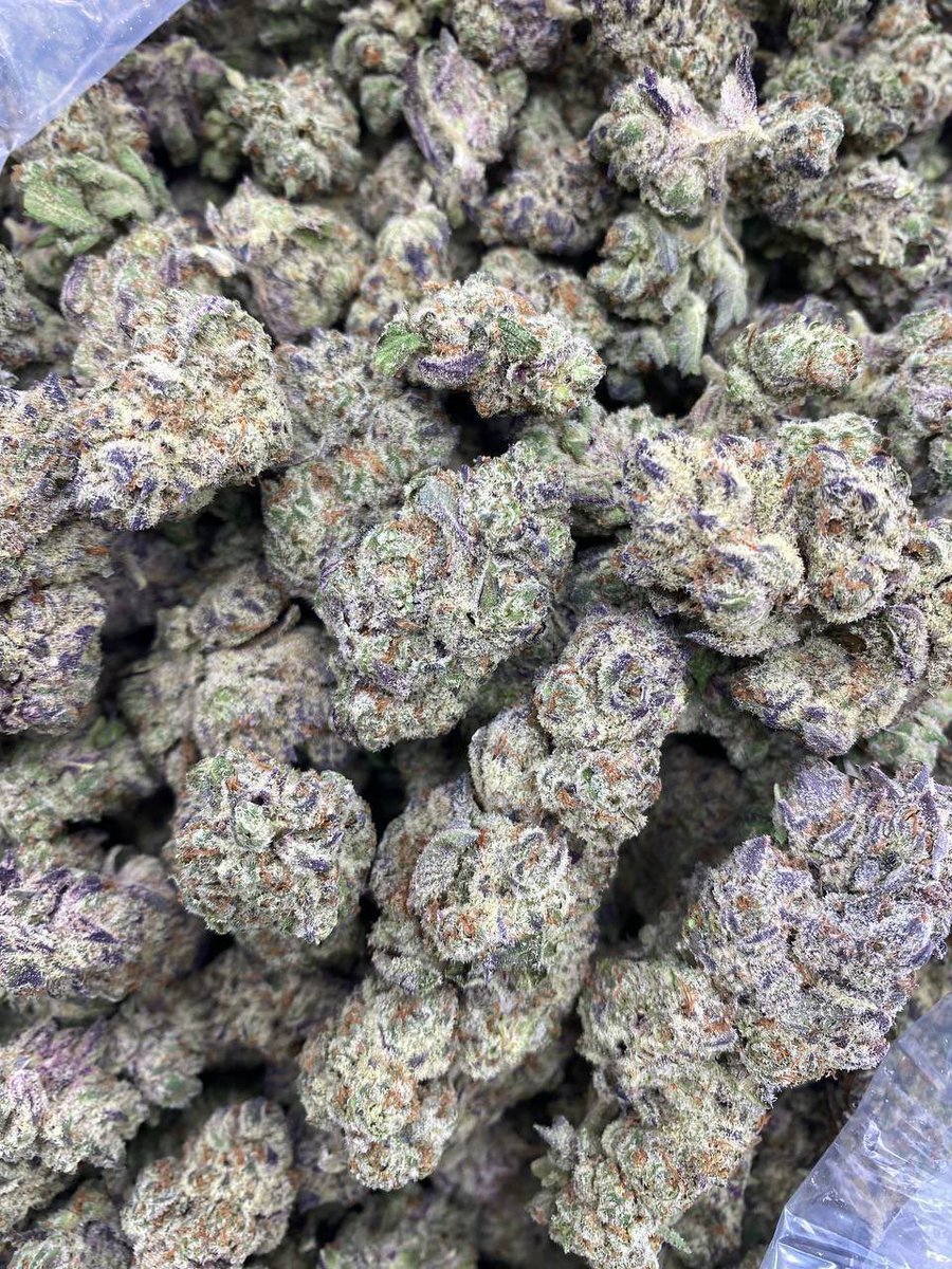 exoticdepot's tweet photo. Who can guess correctly ?🔥
Whatsaap +1 (607) 261‑2150

https://t.co/9WakX8BwdP https://t.co/4nia5B7OMQ