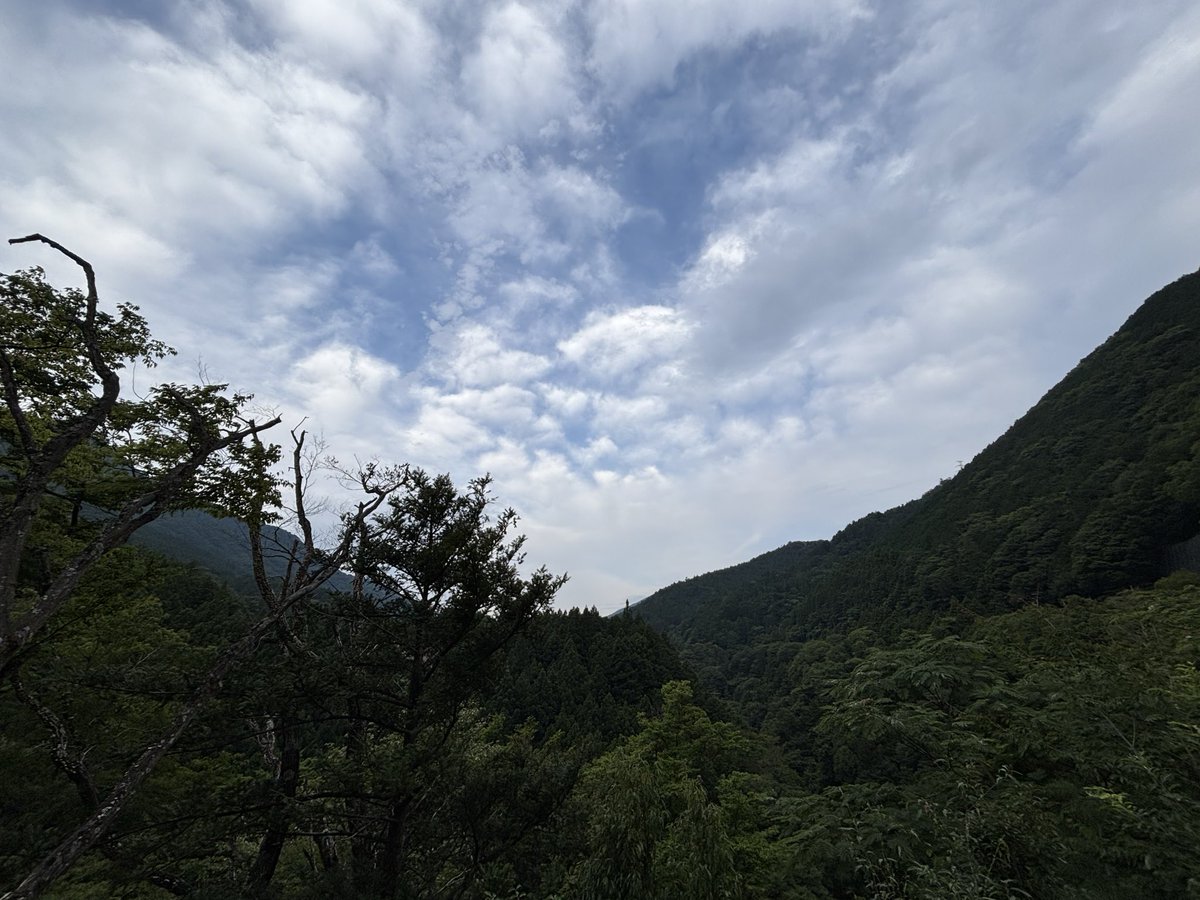 hiroshisuzu's tweet photo. 仕事前にひとっ走り
道志の気温23度
出発が少し遅かったので、今朝はココまで
#tmax560 https://t.co/71nhfaA9ci