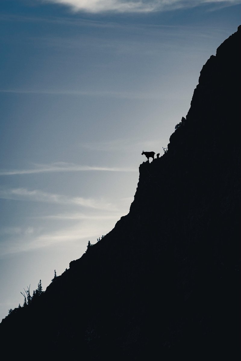 earthcurated's tweet photo. The Pacific Northwest. https://t.co/IuKr6Clfo6