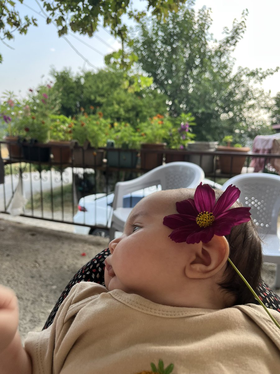 ccicekf's tweet photo. hangi gözle bakılır o çiçek yaprağı kirpiklerine,
nasıl anlatılır gülüşünün sesi https://t.co/z7L6kEPXZ9