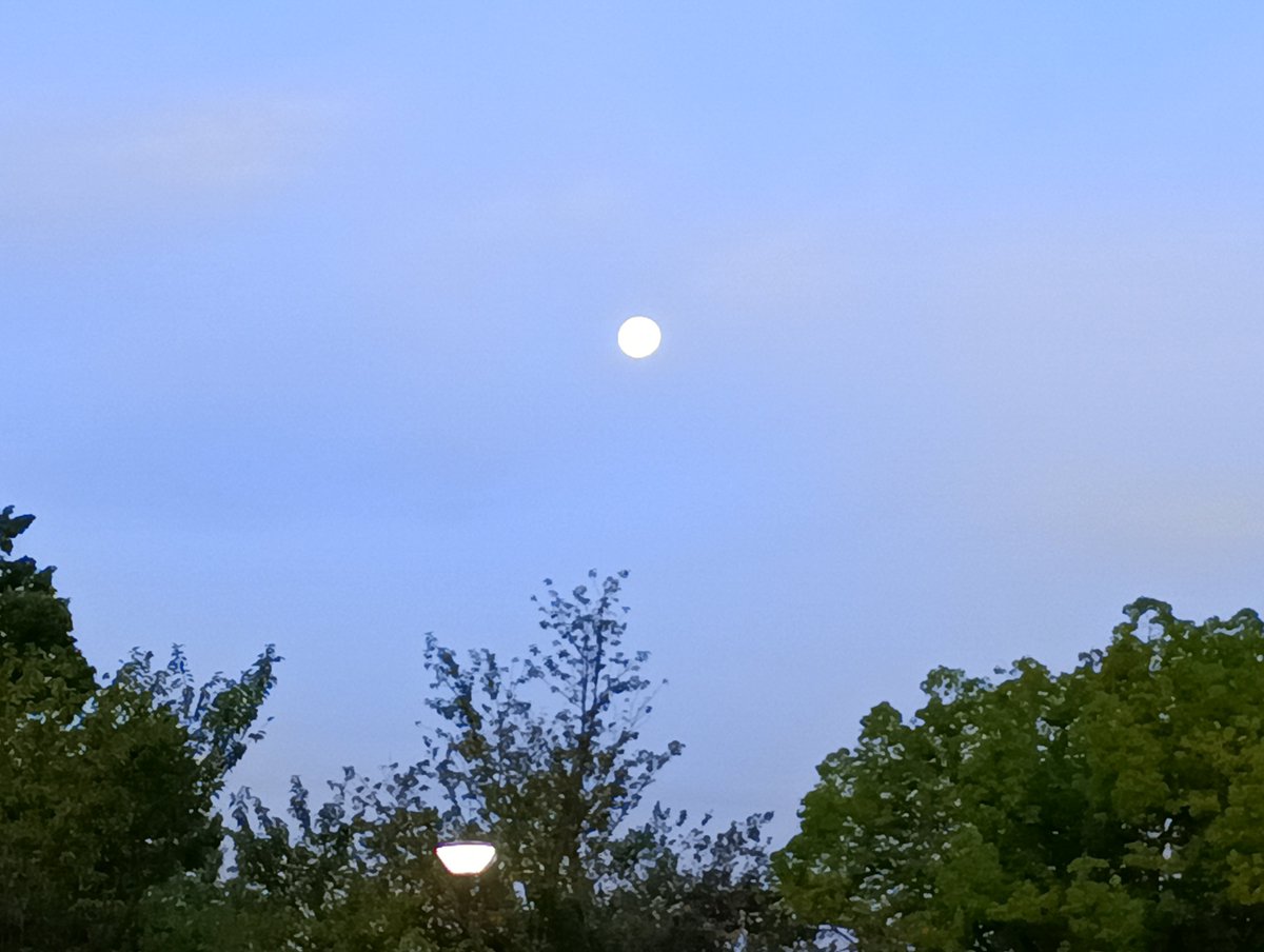 coo_sy's tweet photo. おはようございます！
7月ラストラン7km🏃
今月は梅雨明け後の蒸し暑さにバテながらも370km走ったので70点😅💦 https://t.co/9i0OeRf8tR