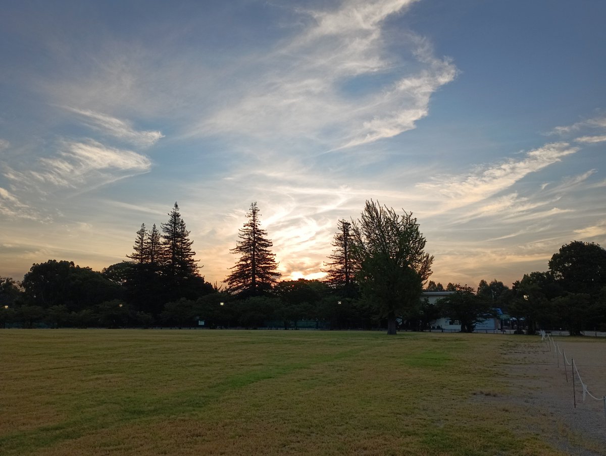 coo_sy's tweet photo. おはようございます！
7月ラストラン7km🏃
今月は梅雨明け後の蒸し暑さにバテながらも370km走ったので70点😅💦 https://t.co/9i0OeRf8tR