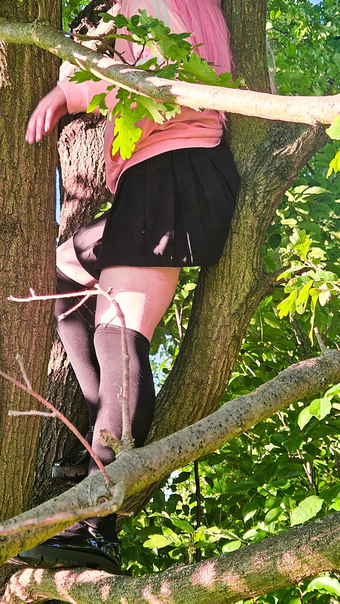 nomasen3's tweet photo. Alice cosplays ୨୧

Bocchi Hitori Gotoh from Bocchi The Rock!
[1]  it's my first cosplay!
──────
Natural atmosphere, climbed on tree, secluded spot without any humans just like any introvert loves 🩷
──── ❤︎ ───
#bocchi #btr #anime #cosplay #hitorigotoh https://t.co/cTj6AgjuV8