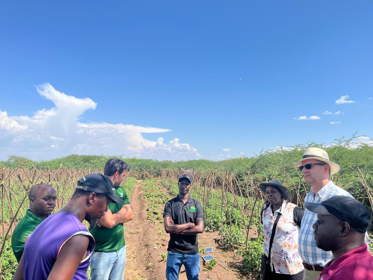 NLinKenya's tweet photo. While on field mission in Baringo County, Netherlands Ambassador H.E Henk Jan visited irrigated tomato farming supported by #HollandGreentech which has a sales agronomist offering advisory services. It’s business model is, building trust with the farmer.
#NLinvestinginASALs https://t.co/BRm3YWC9Fc
