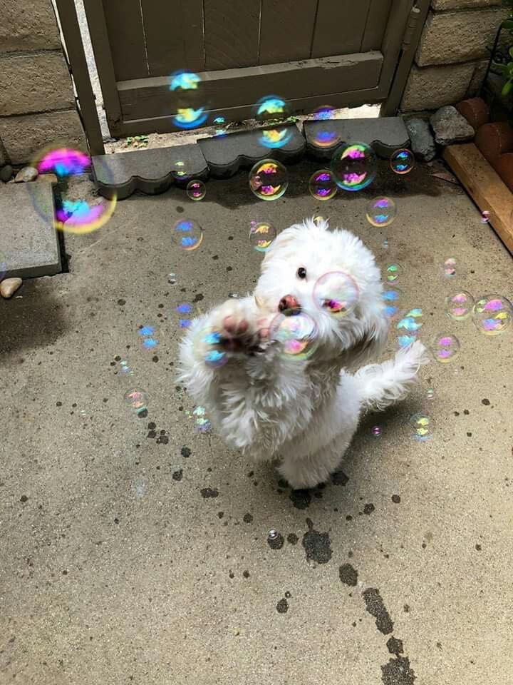 twaniimals's tweet photo. https://t.co/7TLNmfYRnC