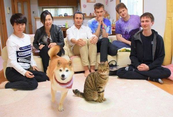 dogeinternn tweet picture