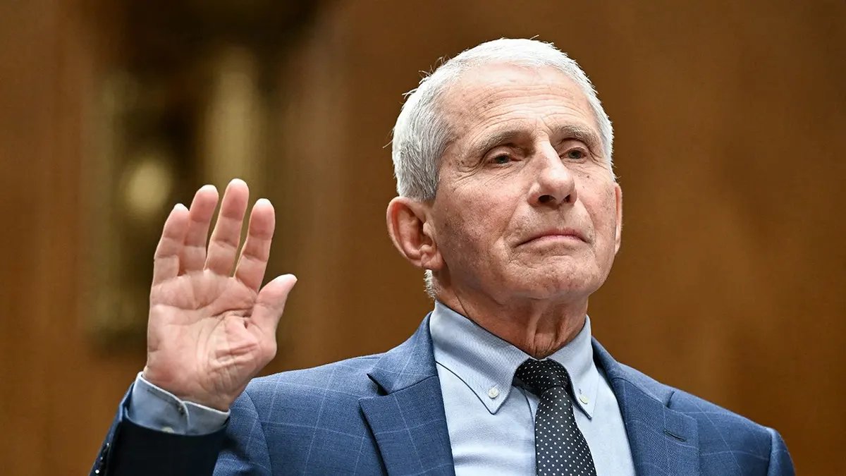 bobbuckley60's tweet photo. What you should see when you look up Rat in the dictionary. https://t.co/JRnhSUfqEa