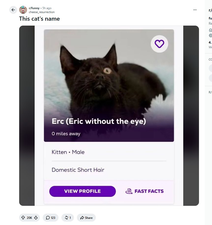 TheBestGigaDev tweet media