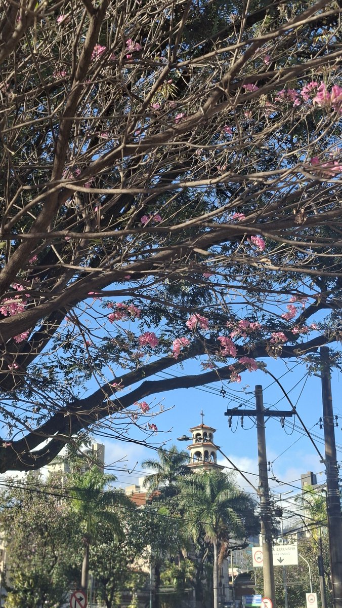 Tayleitor's tweet photo. O auge do egoísmo é crucificar primeiro
Depois ter a cara de pau de pedir pra ser perdoado https://t.co/eeRZigOt5c