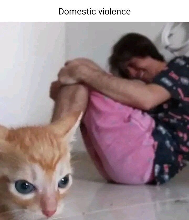 killmyadore's tweet photo. Castre a mi gata y bajo el efecto de la anestesia me desconoció y me mordió cuando la quise agarrar para que no escale arriba de una silla. Estoy yendo a la guardia porque me comió la mano básicamente nunca sangre tanto en mi vida y del dolor me bajo la presión (débil) https://t.co/GMBwoTHKwD