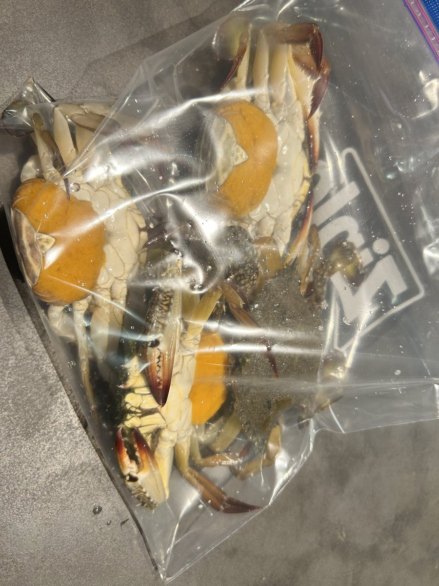 meicoteya's tweet photo. 🦀🦀��とった🤟 https://t.co/dGUoIwle83