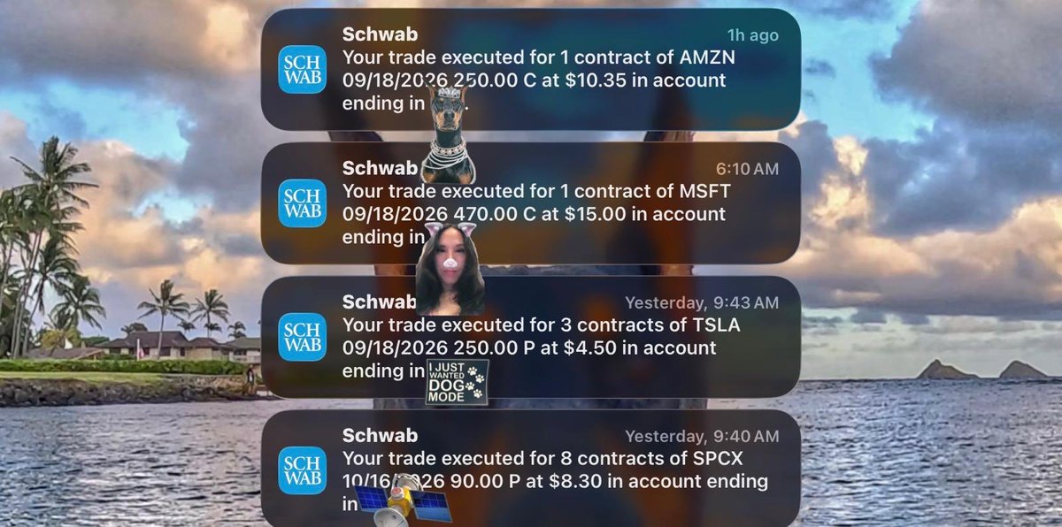 VickiYu's tweet photo. Sold options
$AMZN $MSFT $TSLA $SPCX
#OptionsSeller #CashSecuredPuts
#Tesla
#SpaceX
#Amazon
#Microsoft
#ThetaGang #CoveredCalls https://t.co/sKlvAoVqzu