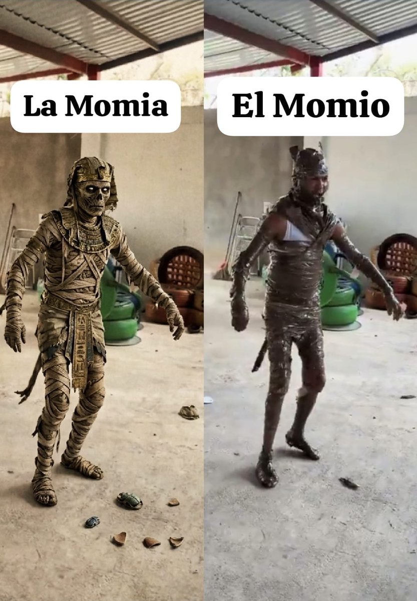 IAMUNDIAL2027's tweet photo. Lo que ordenas en el catálogo de #Temu / Lo que recibes en realidad
#Humor #MemesEnEspanol #ExpectativaVsRealidad #TemuFails https://t.co/Lhlto2nEUr